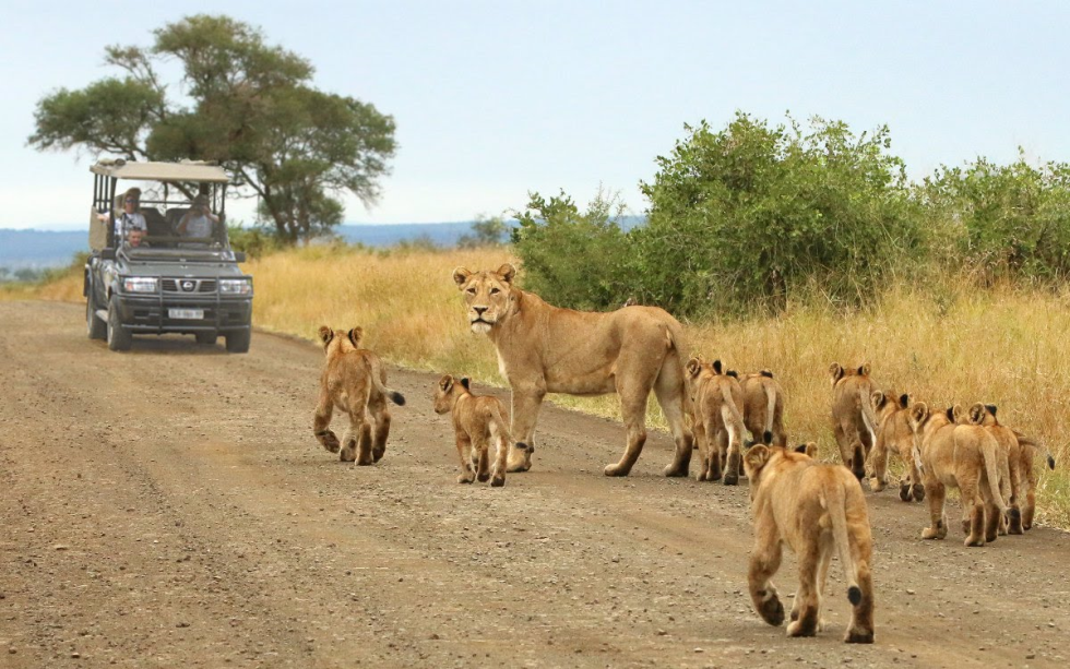 World Scientists gather in the Kruger National Park