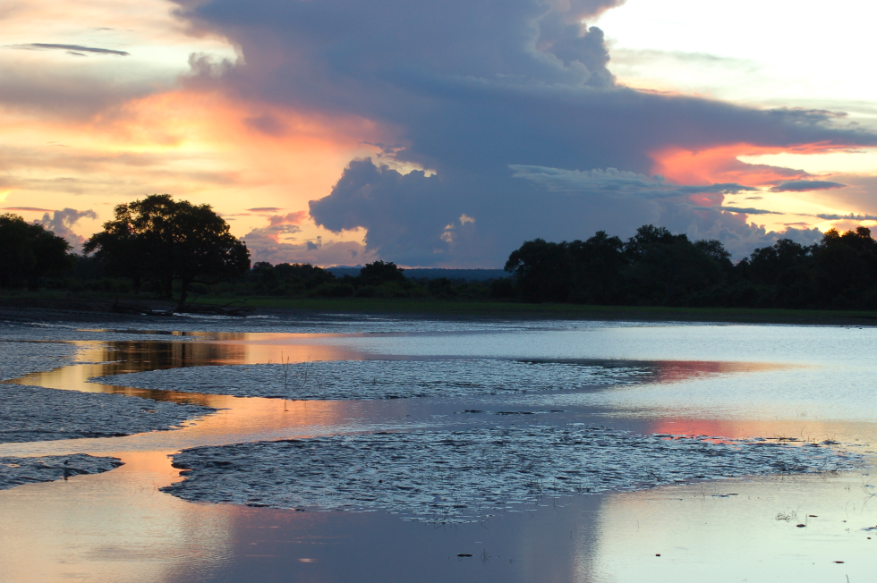 Zambia