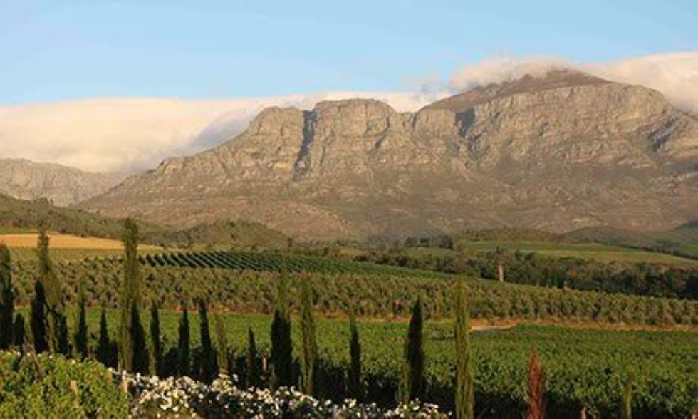 Swellendam named SA's top eco-friendly destination: Here's why