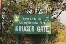 imm_3763_Kruger-National-Parks.jpg