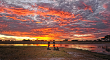 imm_7319_sunset-in-Hwange-national-park.jpg